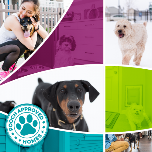 Edmonton Off-Leash Dog Park | Paisley by Brookfield Residential